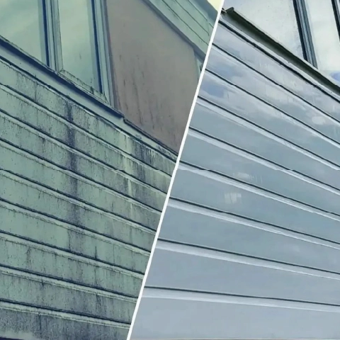 Softwashing by Pane In The Glass South